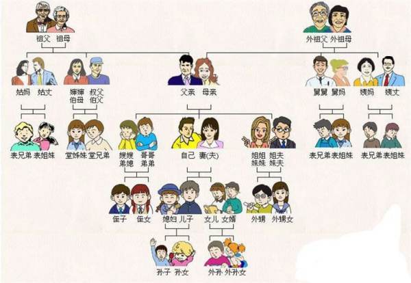 家庭称谓的称供孙木呼总汇