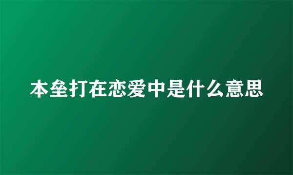 本垒打在恋爱中是什么意思