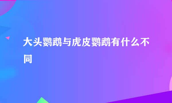 大头鹦鹉与虎皮鹦鹉有什么不同