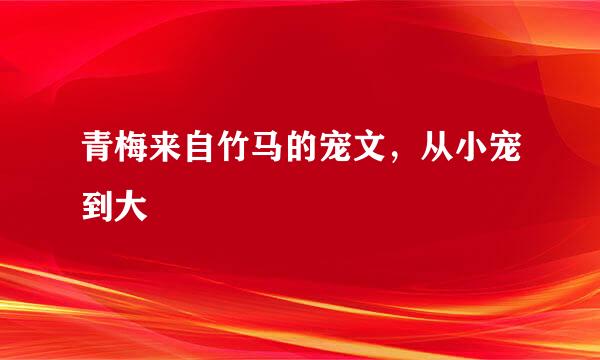 青梅来自竹马的宠文，从小宠到大