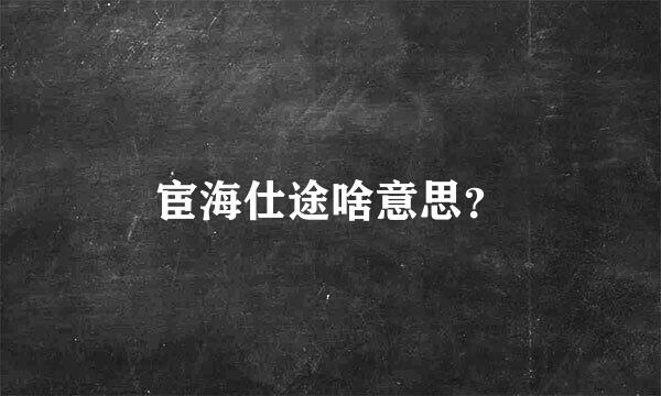 宦海仕途啥意思？