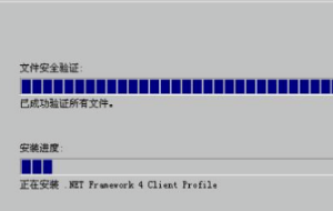 ***.兰更优net framework 4.0安装失败