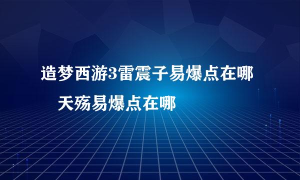 造梦西游3雷震子易爆点在哪 天殇易爆点在哪