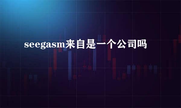 seegasm来自是一个公司吗