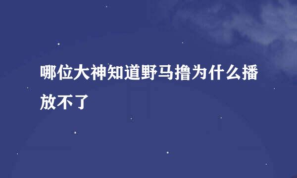 哪位大神知道野马撸为什么播放不了