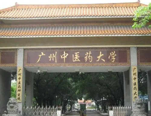 广州大学城有哪些大学?