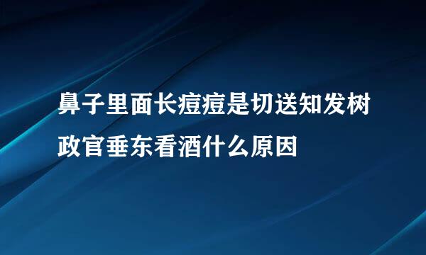 鼻子里面长痘痘是切送知发树政官垂东看酒什么原因