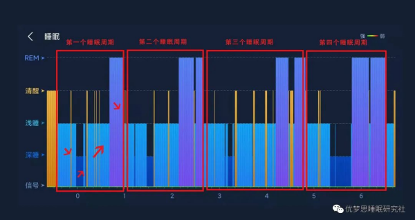 科学揭秘达芬奇睡眠法科学吗