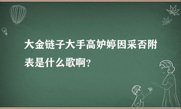 大金链子大手高妒婷因采否附表是什么歌啊？