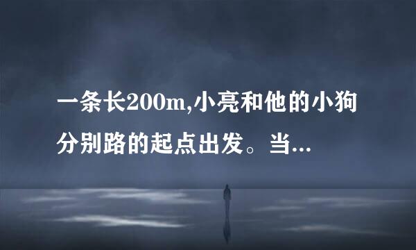 一条长200m,小亮和他的小狗分别路的起点出发。当小亮走到这条马路一半的时候，小狗已经到达了马路的