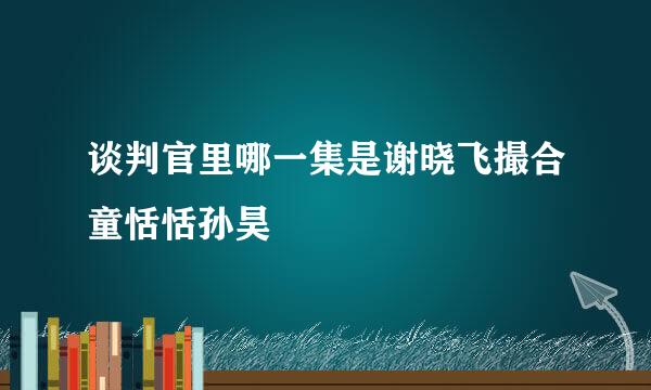 谈判官里哪一集是谢晓飞撮合童恬恬孙昊