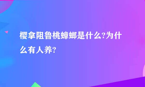 樱拿阻鲁桃蟑螂是什么?为什么有人养?