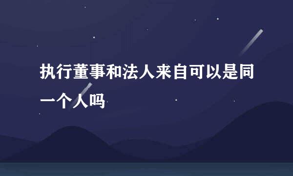 执行董事和法人来自可以是同一个人吗