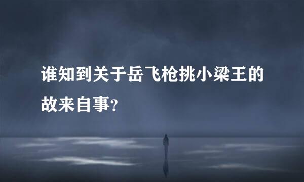 谁知到关于岳飞枪挑小梁王的故来自事？