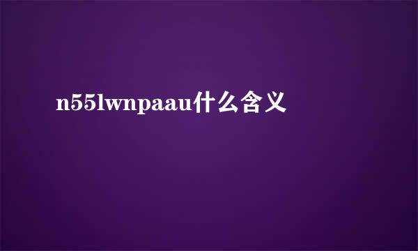 n55lwnpaau什么含义