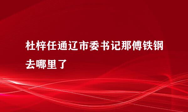 杜梓任通辽市委书记那傅铁钢去哪里了