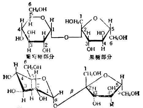 还原糖是什么