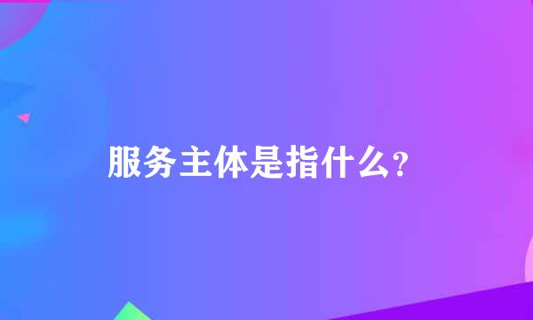 服务主体是指什么？