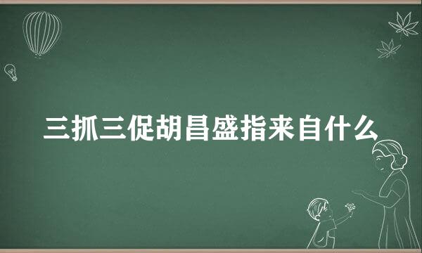 三抓三促胡昌盛指来自什么