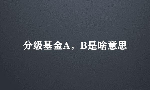 分级基金A，B是啥意思