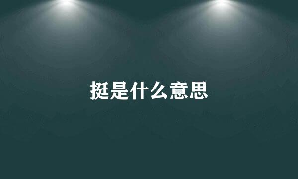 挺是什么意思