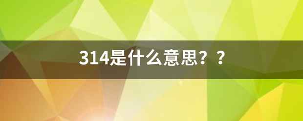 314是什么意思？？