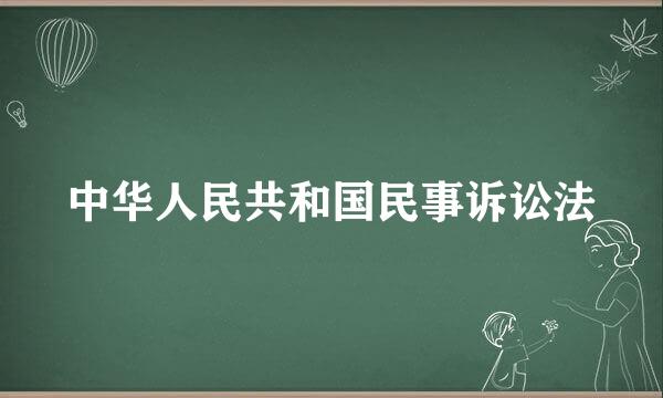 中华人民共和国民事诉讼法