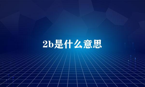 2b是什么意思