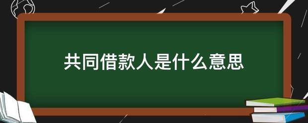 共同来自借款人是什么意思