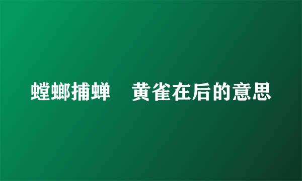 螳螂捕蝉 黄雀在后的意思