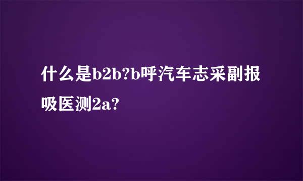 什么是b2b?b呼汽车志采副报吸医测2a?