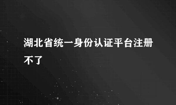 湖北省统一身份认证平台注册不了