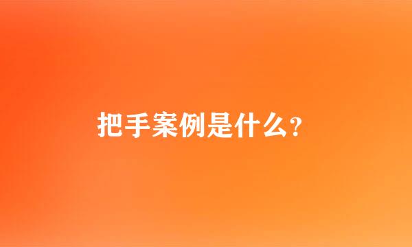 把手案例是什么？