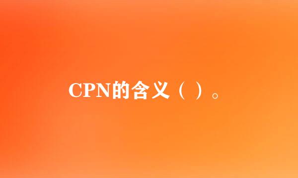 CPN的含义（）。