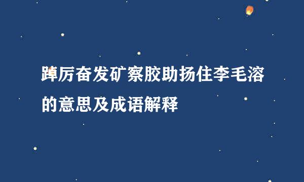 踔厉奋发矿察胶助扬住李毛溶的意思及成语解释