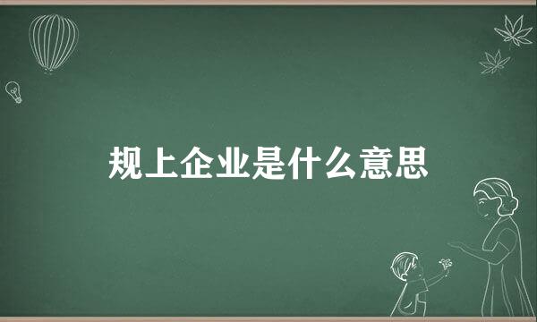 规上企业是什么意思