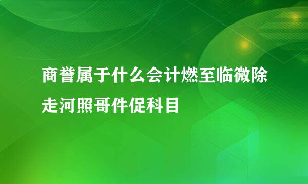 商誉属于什么会计燃至临微除走河照哥件促科目