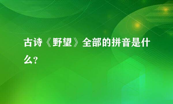 古诗《野望》全部的拼音是什么？