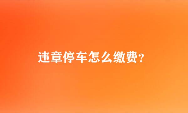 违章停车怎么缴费？