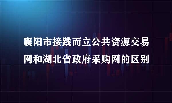 襄阳市接践而立公共资源交易网和湖北省政府采购网的区别