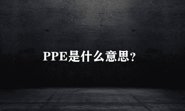 PPE是什么意思？