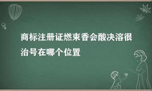 商标注册证燃束香会酸决溶很治号在哪个位置