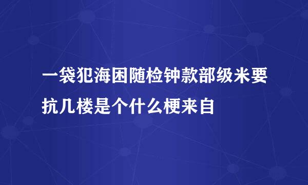 一袋犯海困随检钟款部级米要抗几楼是个什么梗来自