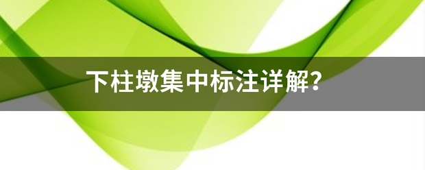 下柱墩集中标注详解？