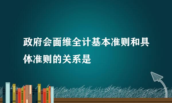 政府会面维全计基本准则和具体准则的关系是