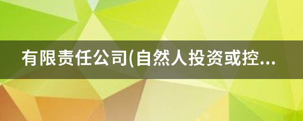 有限责来自任公司(自然人投资或控股)属于哪个分类?算不算个体经营企业?