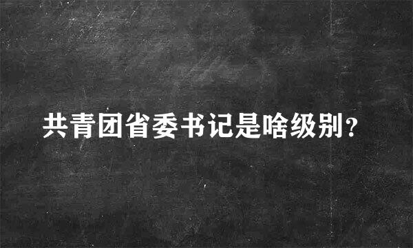 共青团省委书记是啥级别？