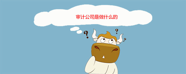 审计是做什么的？