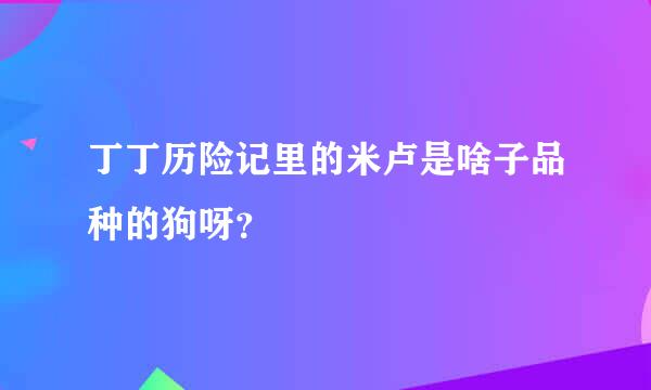 丁丁历险记里的米卢是啥子品种的狗呀？