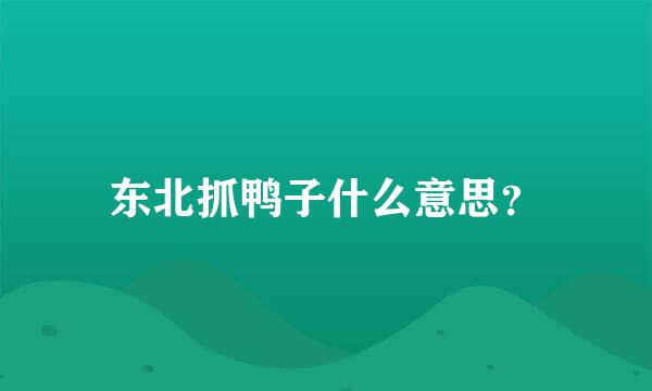 东北抓鸭子什么意思？